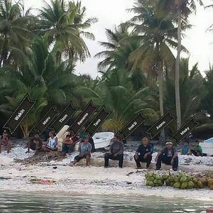 Meet your Posher, Inek